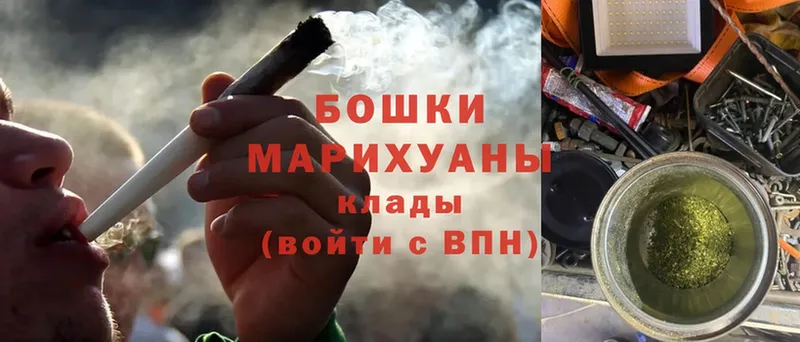 Канабис OG Kush  Кедровый 